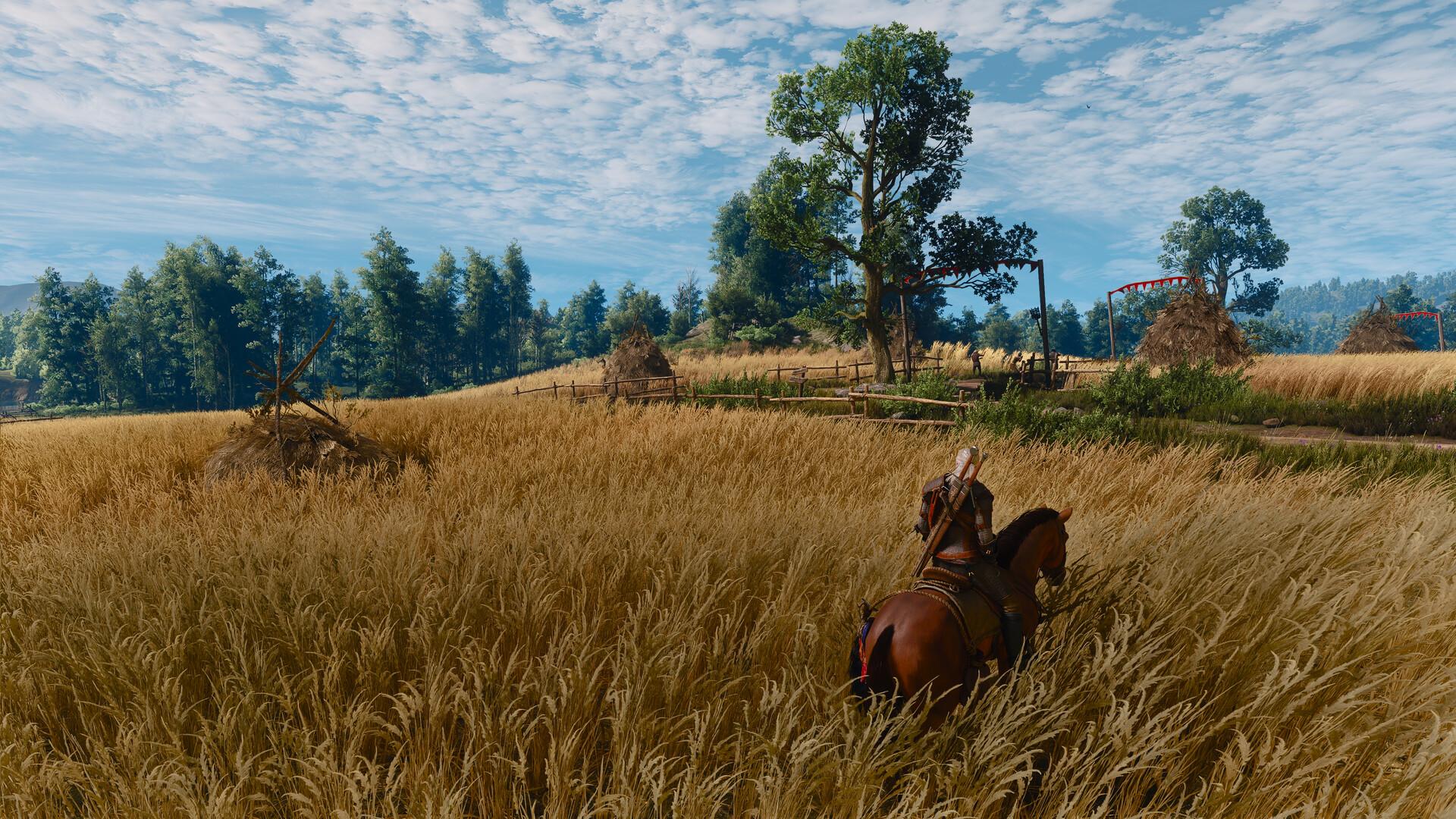 Geralt rides Roach through a field of tall golden wheat towards a farm with haystacks and red banners under a bright blue sky.