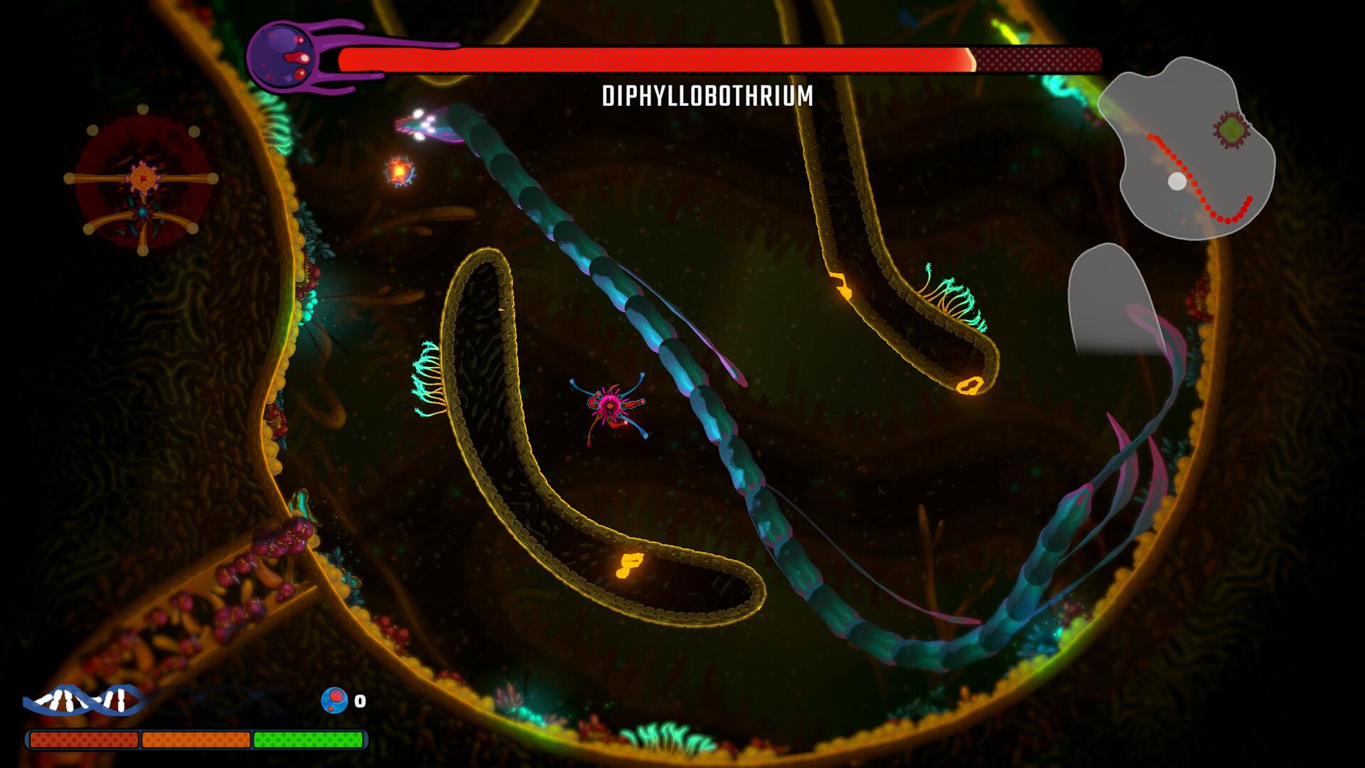 Diphyllobothrium, a tapeworm boss coiling the length of the arena with its health bar above