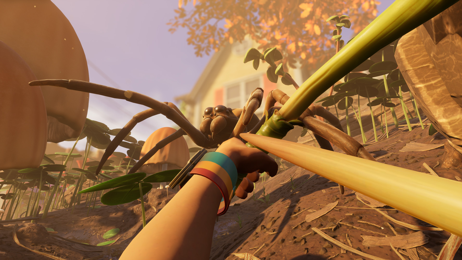 First-person view aiming a bow at a spider in the long grass