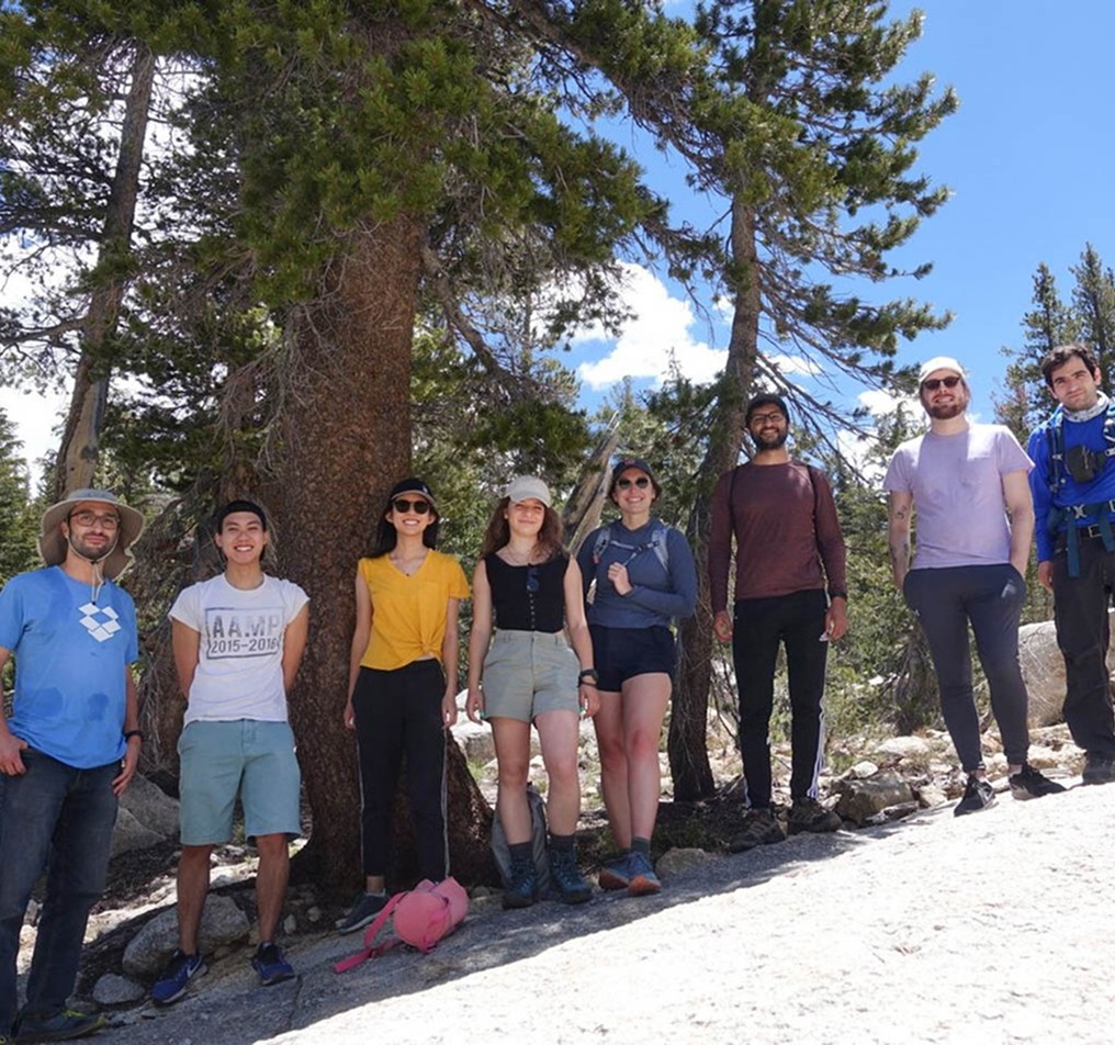 A group of people enjoying a hike on a beautiful day