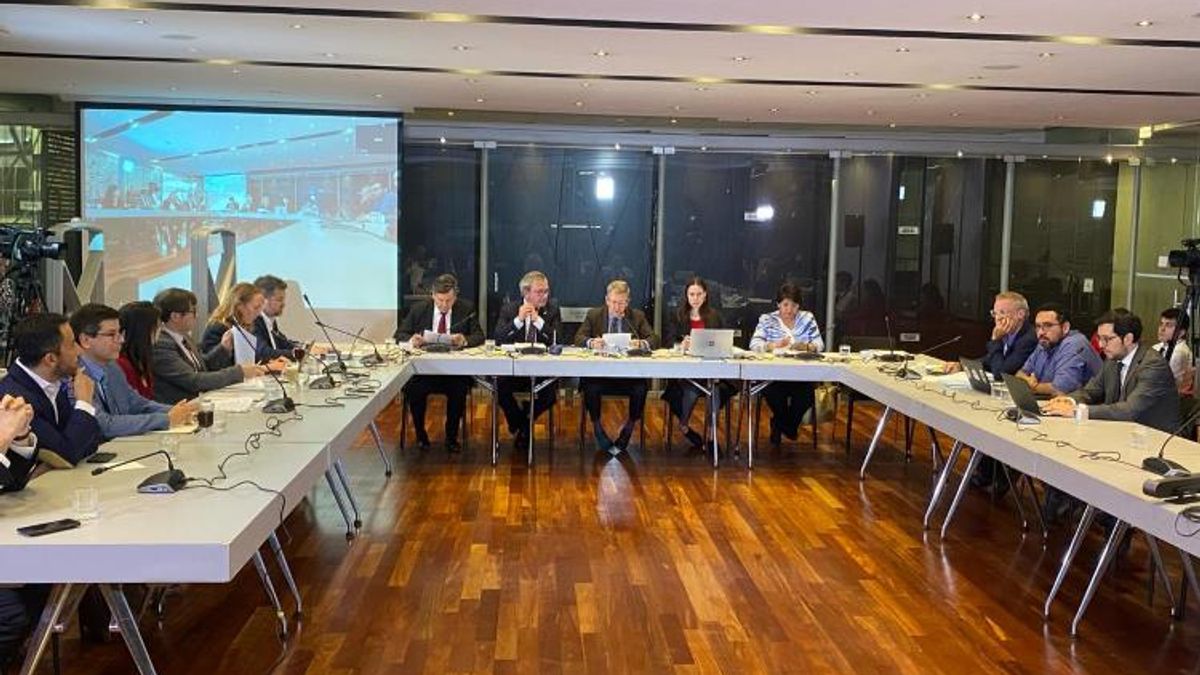 Mesa Técnica del SAE expuso informe en el Senado