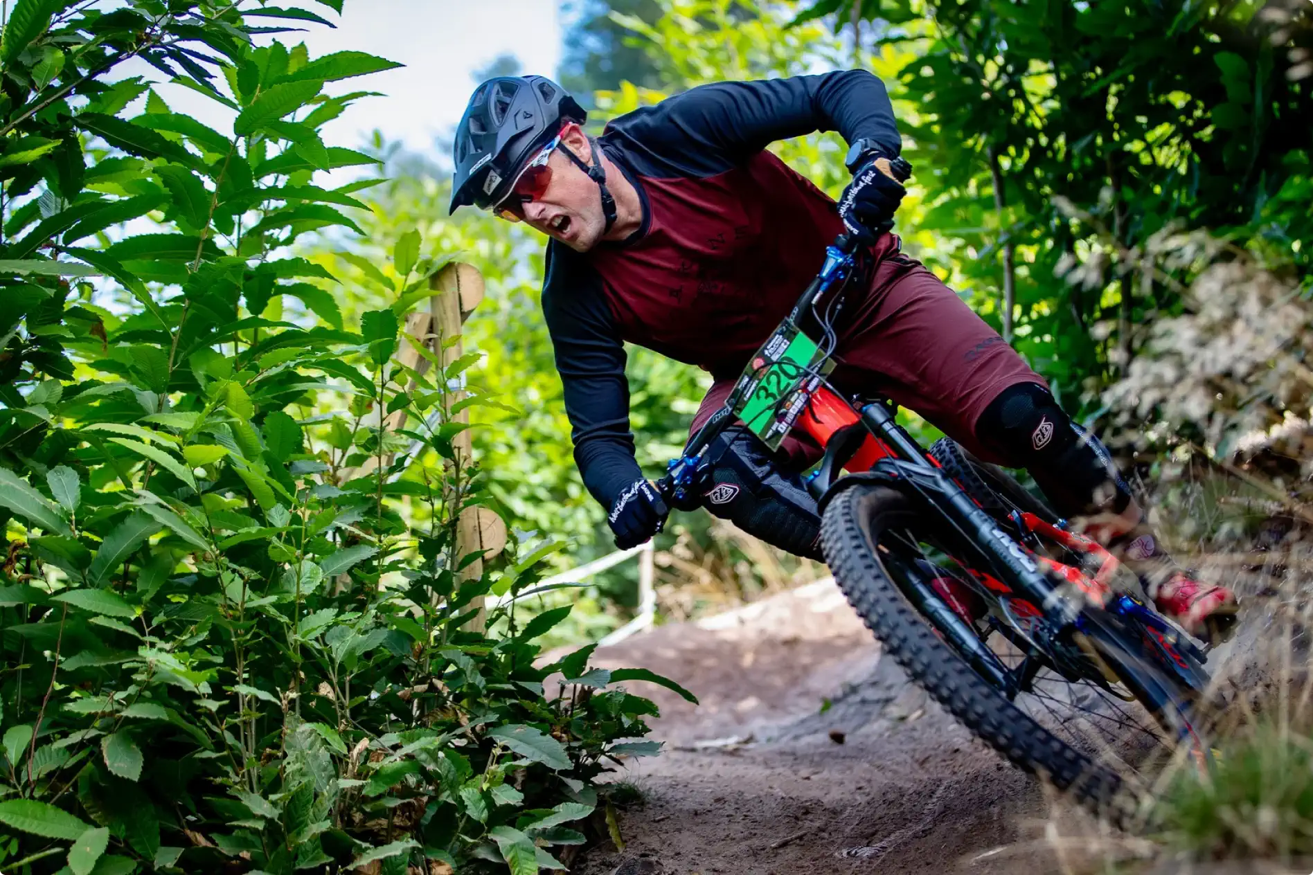 New guy at Quin. Old cycling dog.