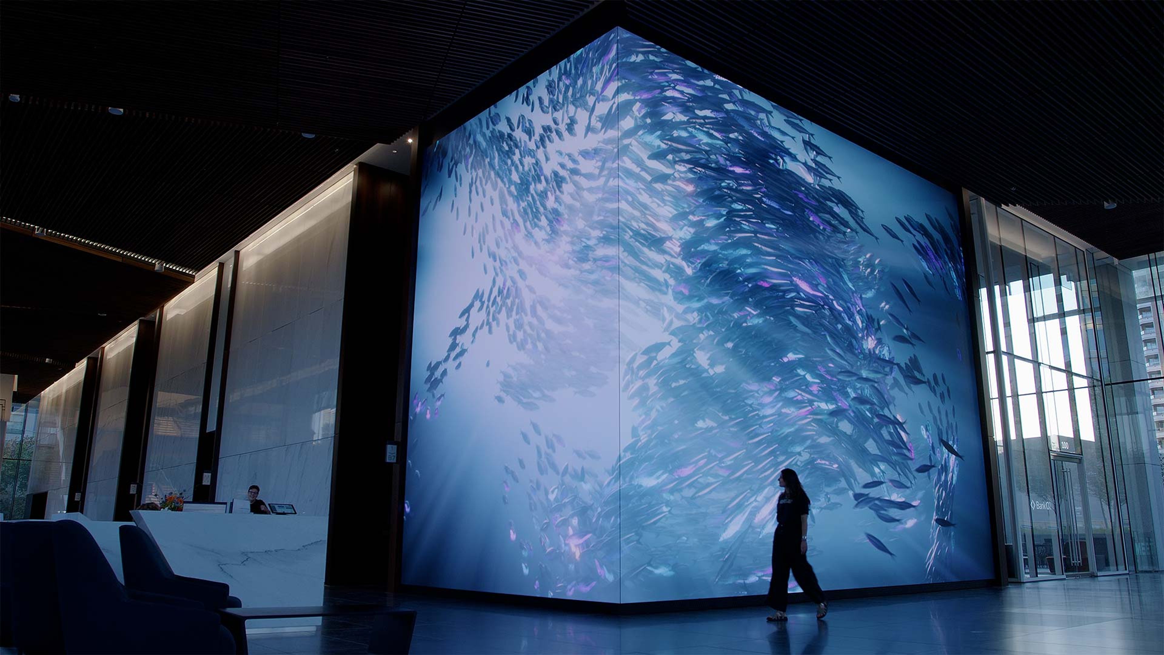 From Theory to Practice | Field Trip to Volvox Labs