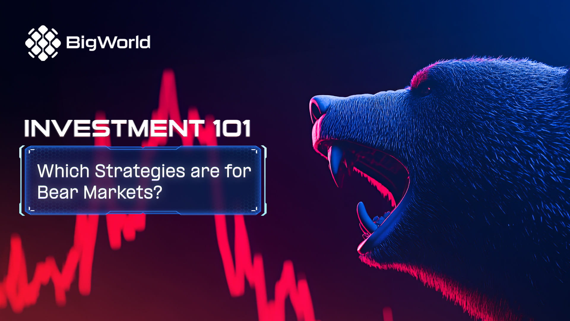INVESTMENT 101: Which Strategies are for Bear Markets? | TheBigWorld