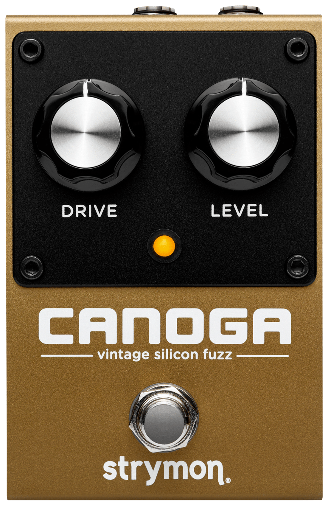 Strymon Canoga, top-down view, gold enclosure, Drive and Level knobs, amber LED