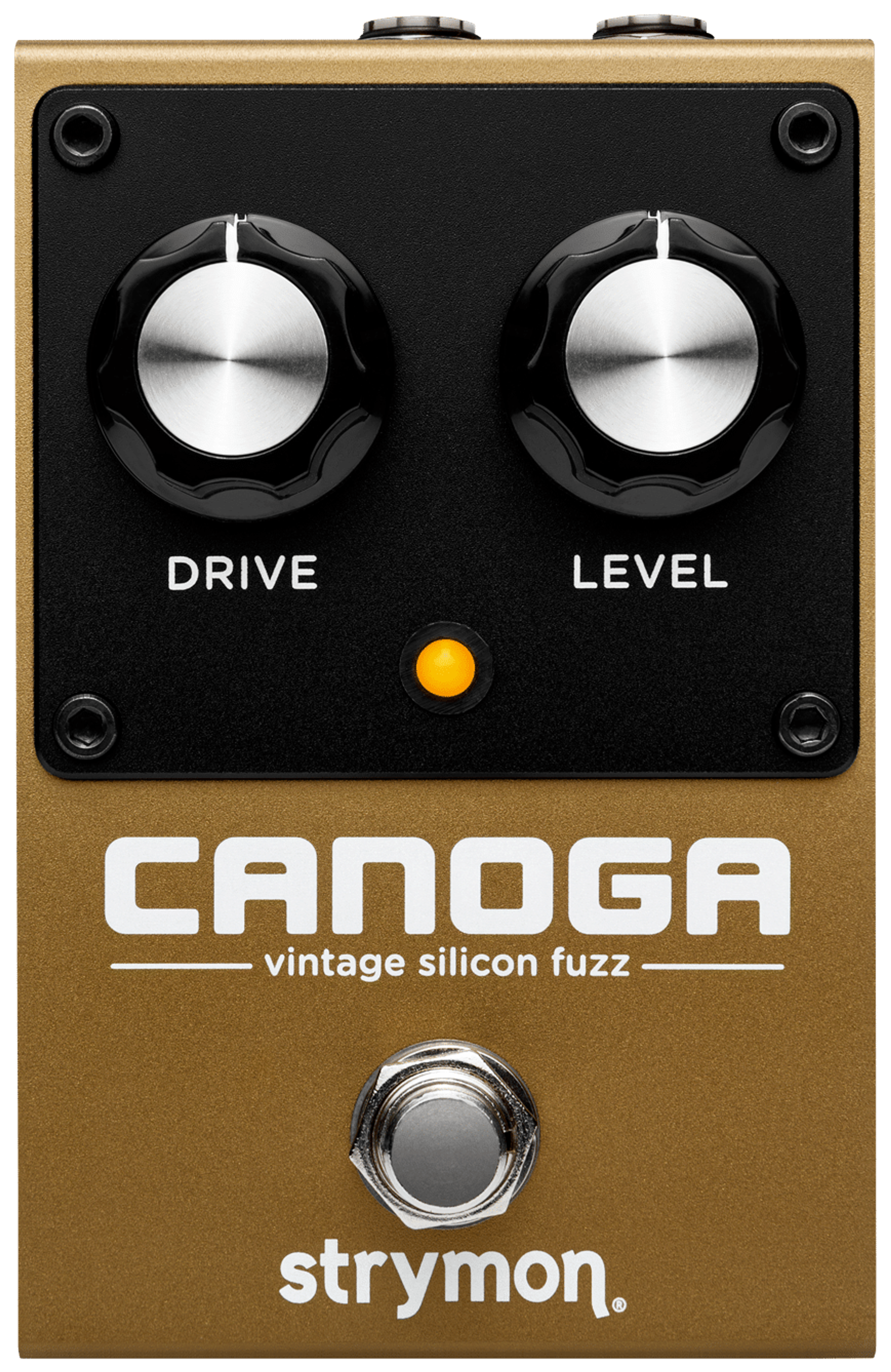 Strymon Canoga, top-down view, gold enclosure, Drive and Level knobs, amber LED