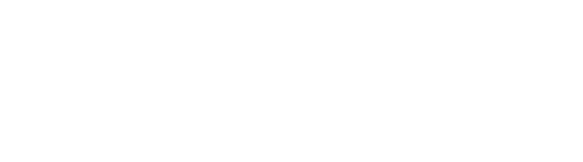 Tone City logo
