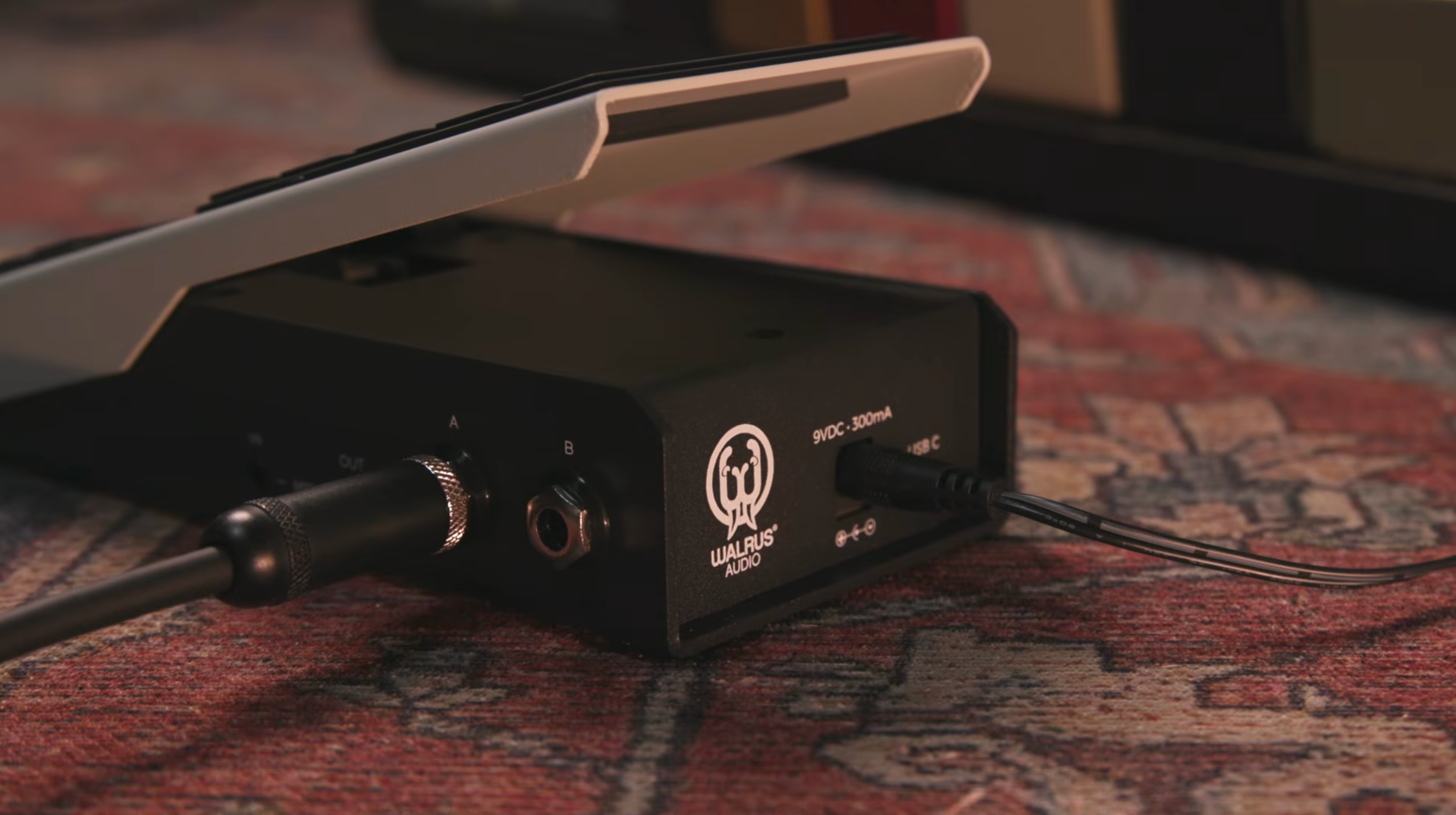 Walrus Audio Canvas Expression, top-down packshot, grey treadle, walrus logo, colour bar
