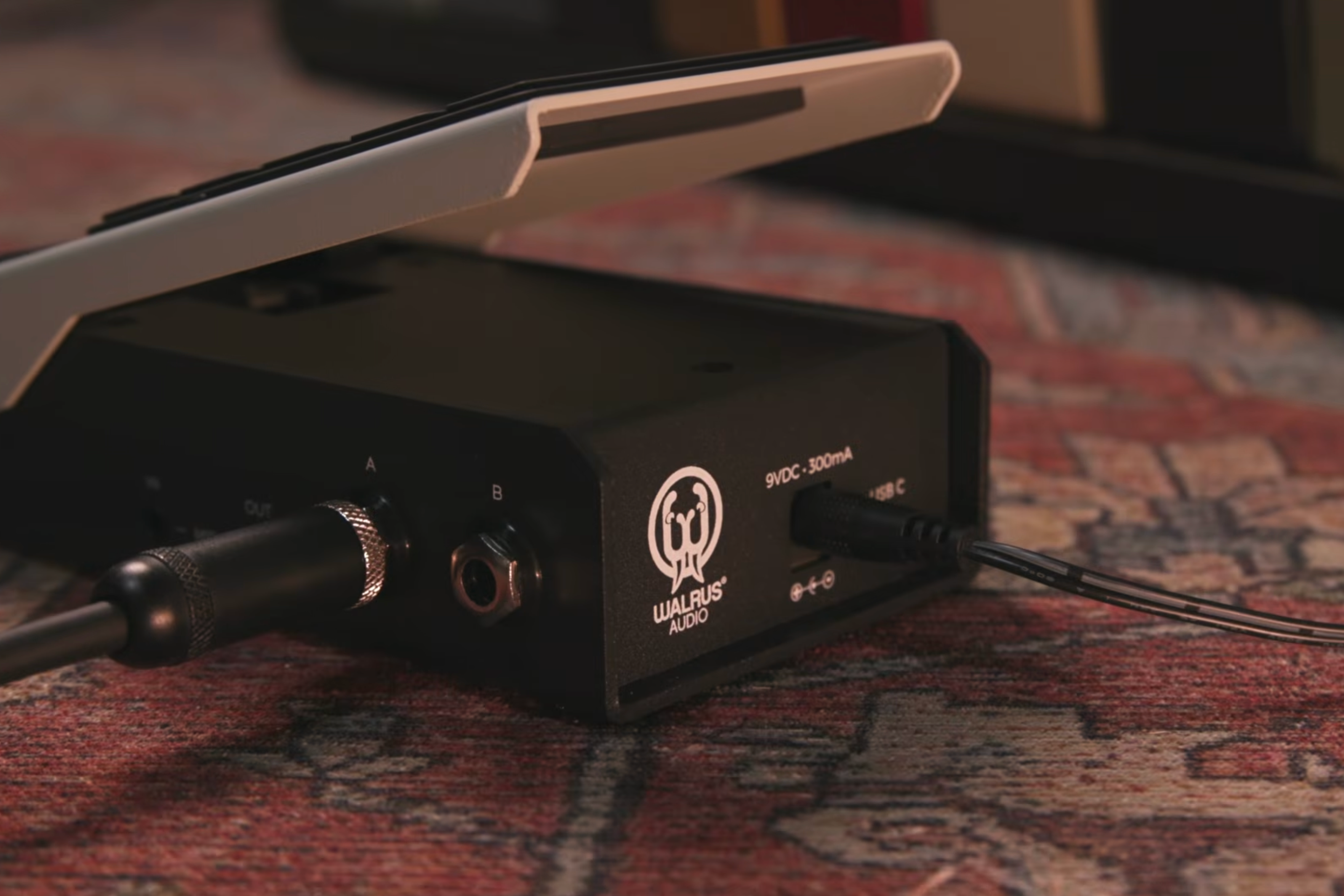 Walrus Audio Canvas Expression, top-down packshot, grey treadle, walrus logo, colour bar