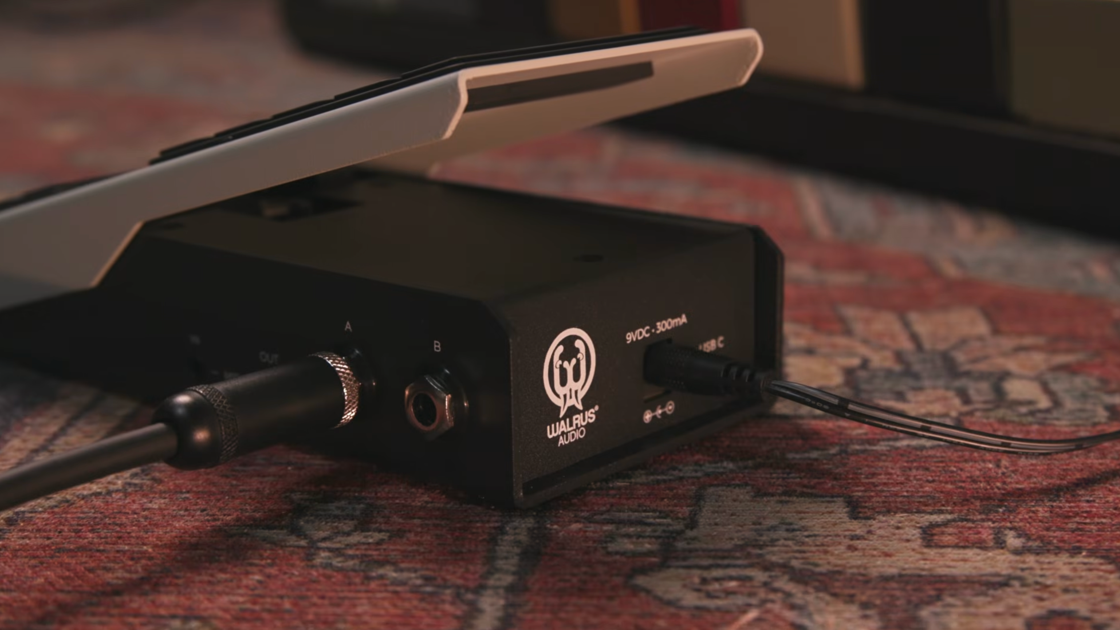 Walrus Audio Canvas Expression, top-down packshot, grey treadle, walrus logo, colour bar