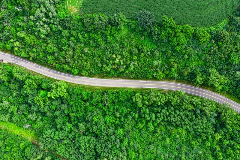 Aerial view of a winding road through lush green countryside in Goodhue, Minnesota.