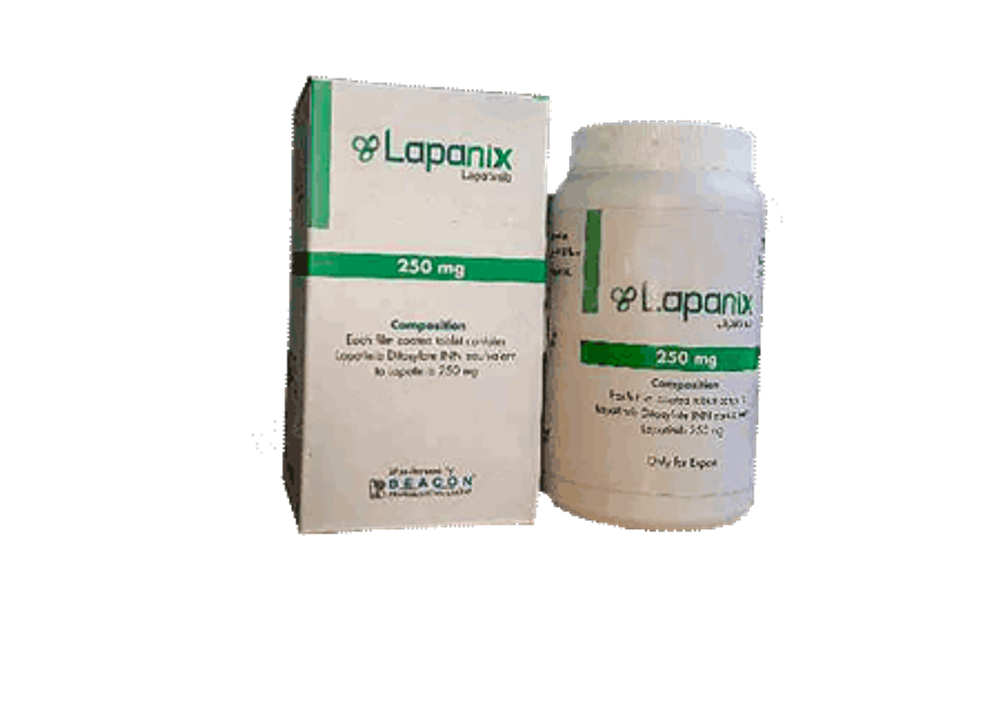 Lapanix