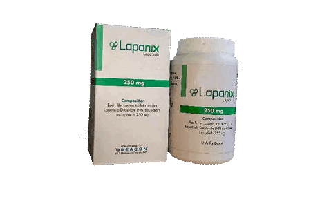 Lapanix