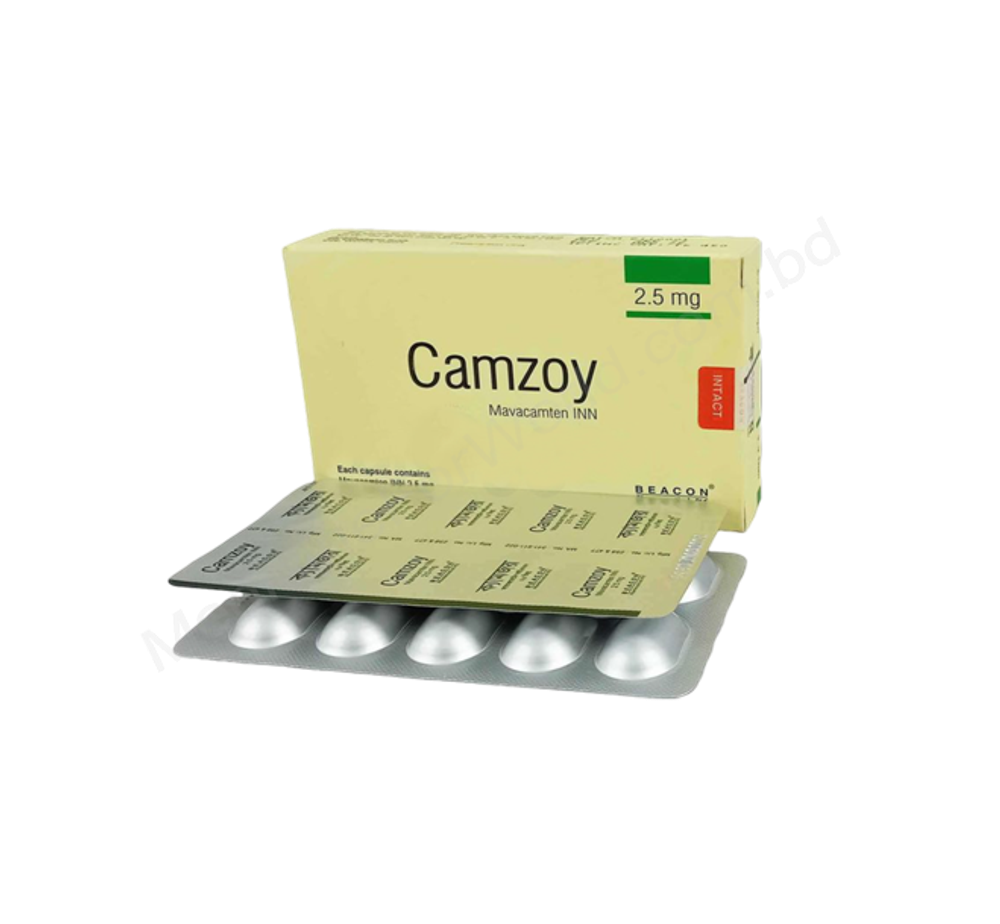 Camzoy