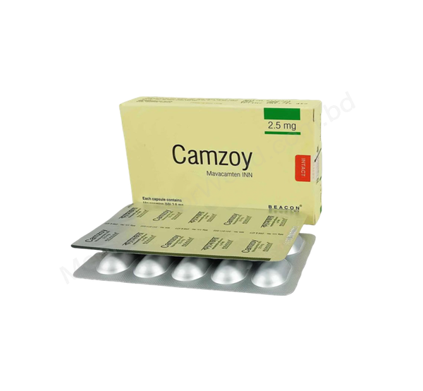 Camzoy