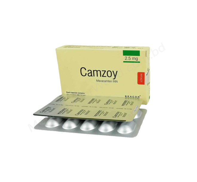 Camzoy