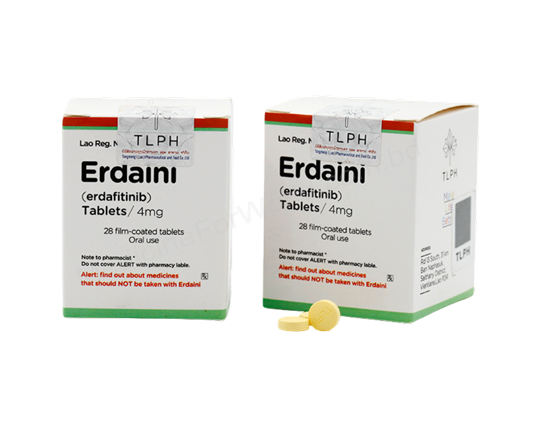 Erdaini