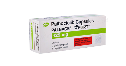 Palbace