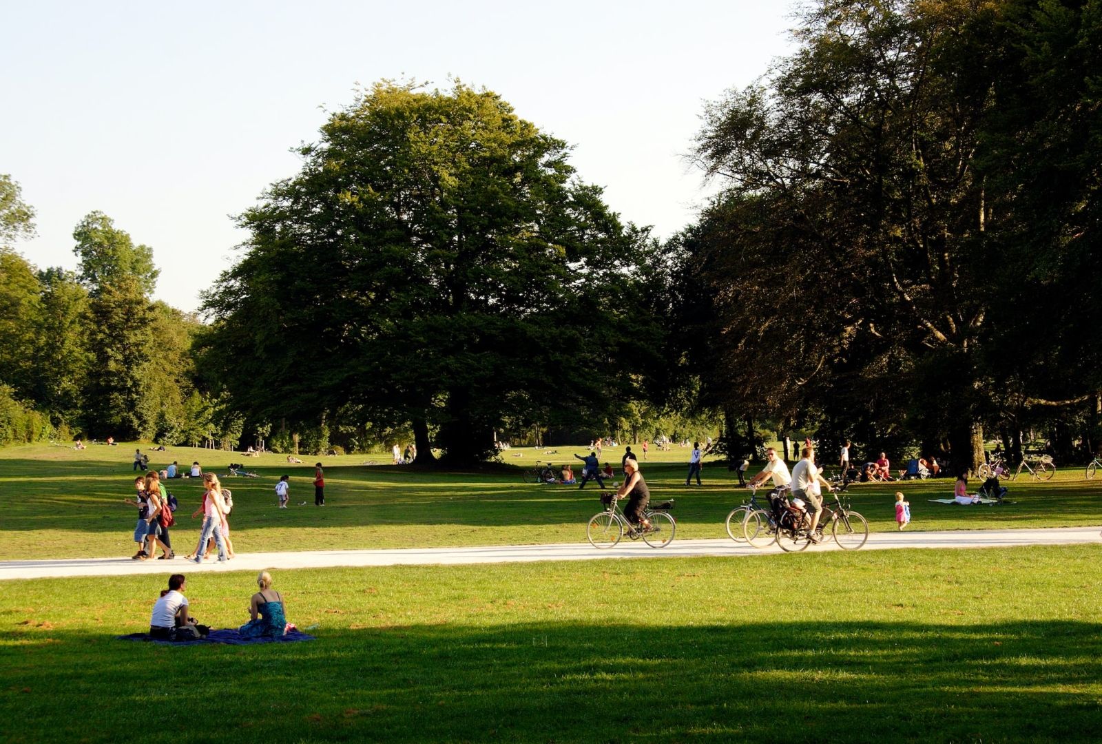 People at the park