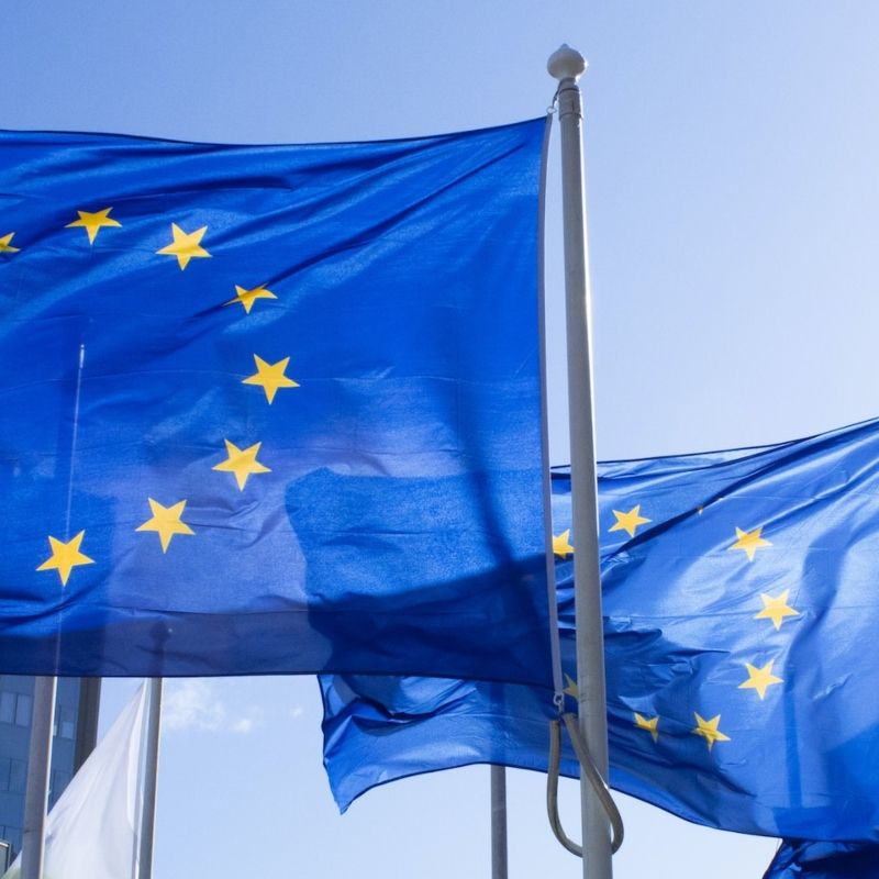EU flags