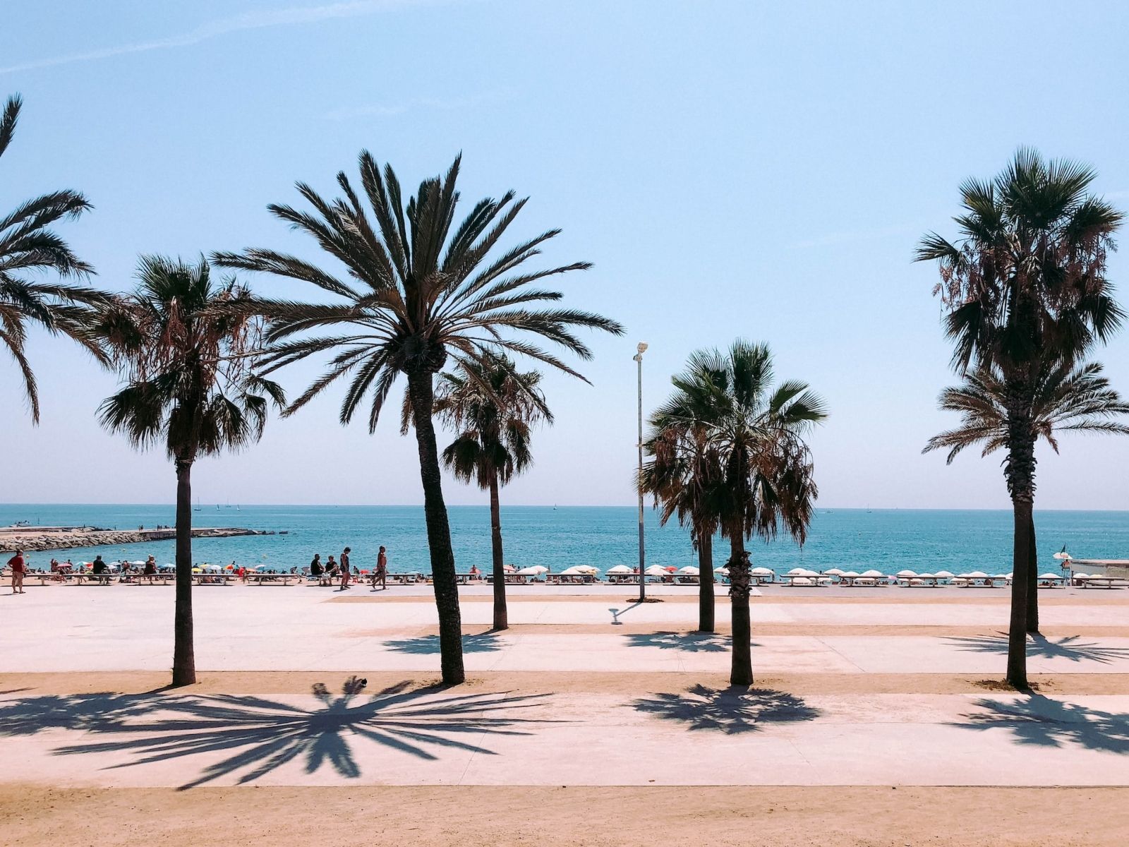 La Barceloneta