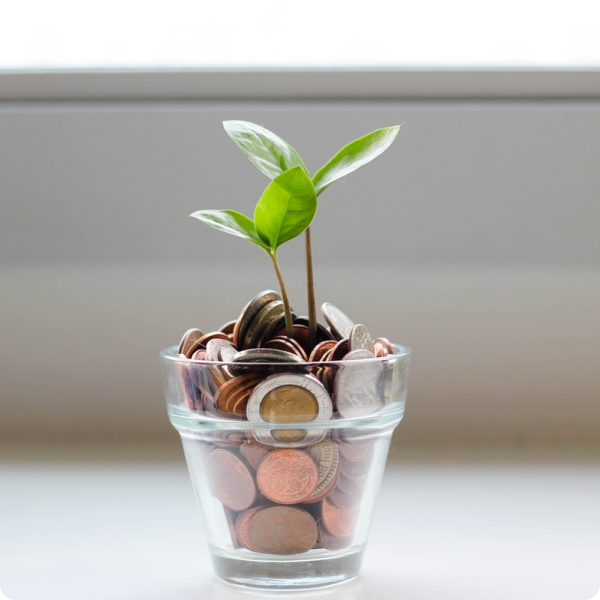 compo with coins and a budding plant