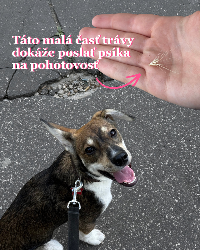 Poznáte to? 