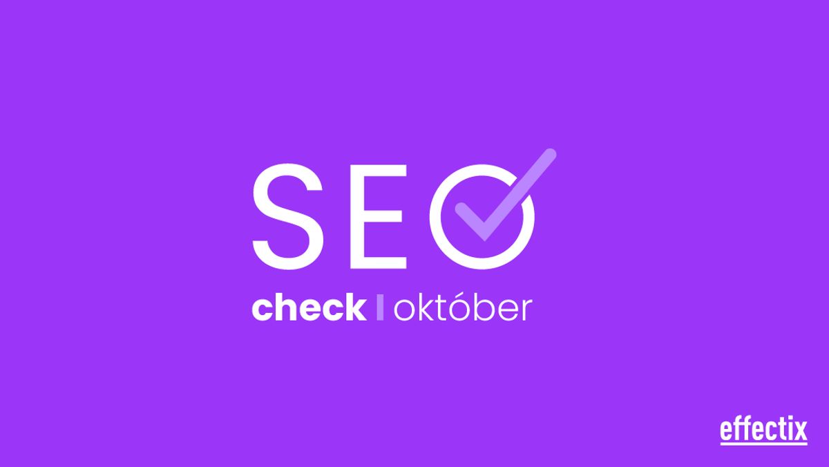 seo-check-banner-10
