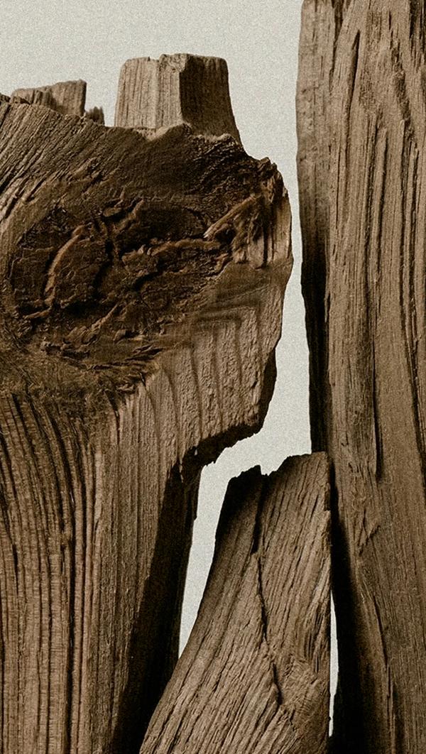 Weathered split wood grain macro detail — D.S. & Durga Wood perfume collection featuring Radio Bombay, Cowboy Grass, Cognac Reign, Bowmakers, and Burning Barbershop eau de parfum