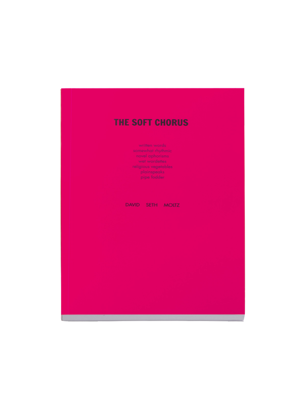 A bright pink book cover titled "The Soft Chorus" with the authors' name David Seth Moltz listed at the bottom.