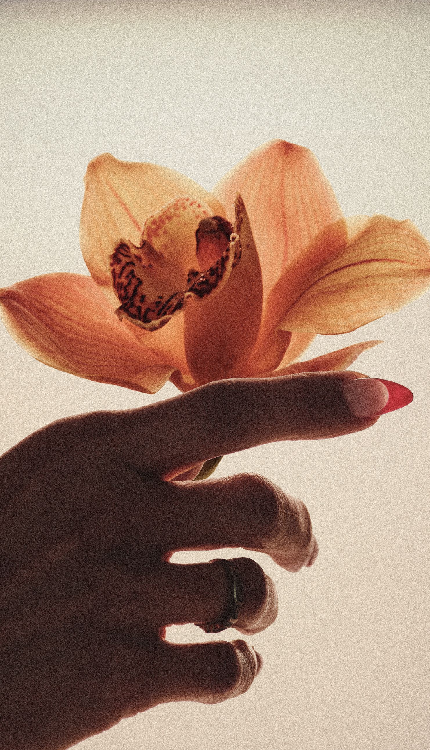 Brown Flowers Eau de Parfum | D.S. & DURGA