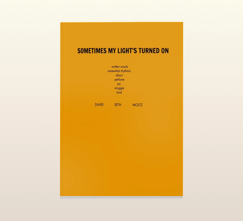 A bright orange book cover titled "Sometime's My Light's Turned On" with the authors' name David Seth Moltz listed at the bottom.