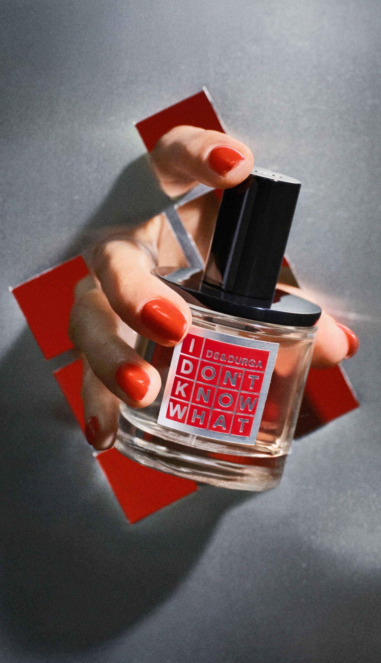 Special Edition I Don't Know What - D.S. & DURGA