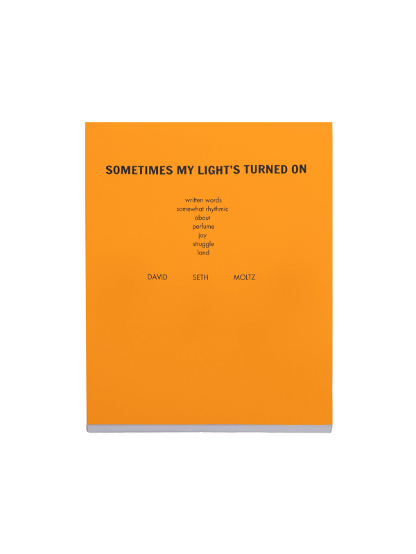 A bright orange book cover titled "Sometime's My Light's Turned On" with the authors' name David Seth Moltz listed at the bottom.