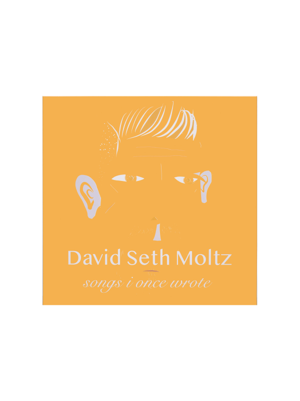 Vinyl record with a bold orange cover featuring a stylized illustration of a man's face: "david seth moltz - songs i once wrote."