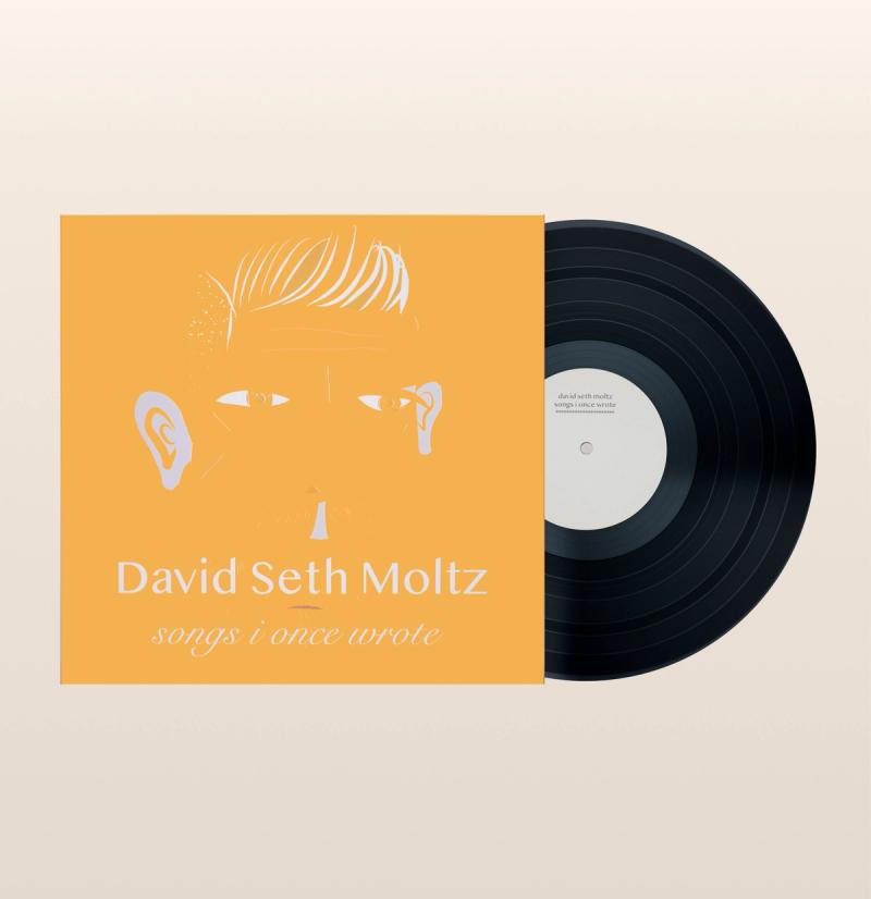 Vinyl record with a bold orange cover featuring a stylized illustration of a man's face: "David Seth Moltz - songs i once wrote."