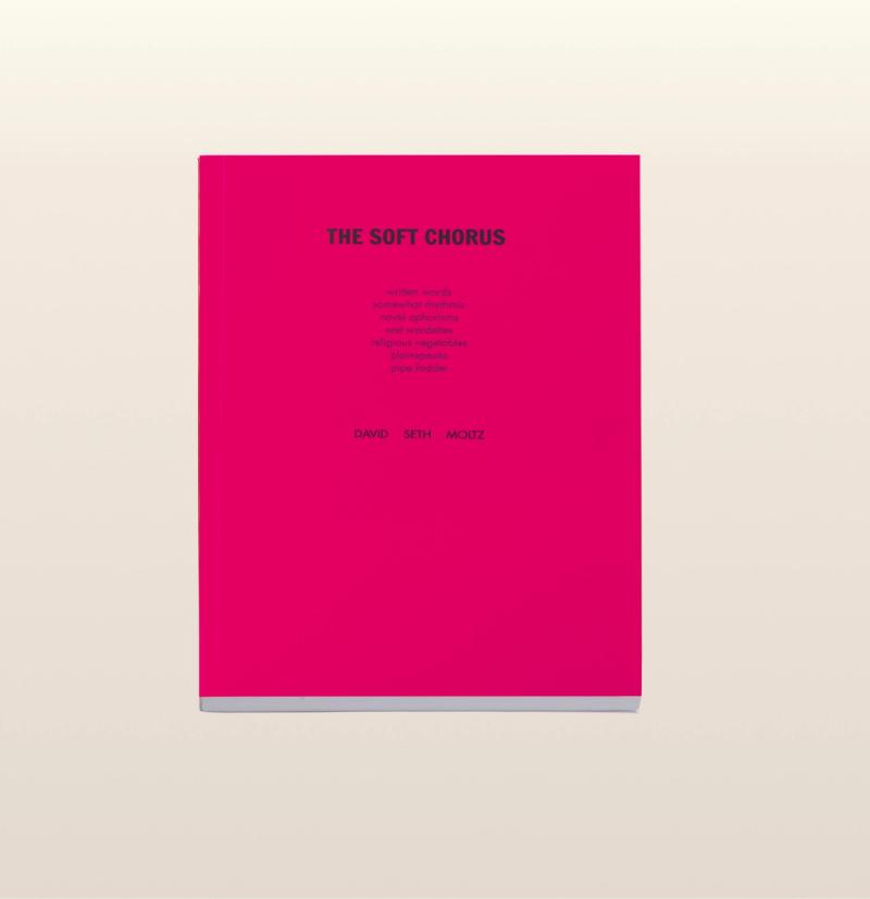 A bright pink book cover titled "The Soft Chorus" with the authors' name David Seth Moltz listed at the bottom on a neutral background.