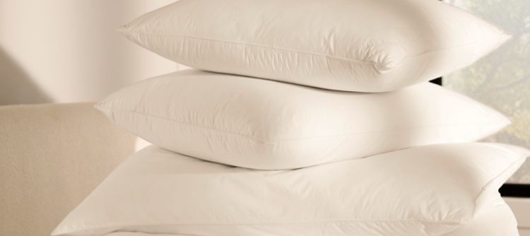 PILLOWS & PROTECTORS