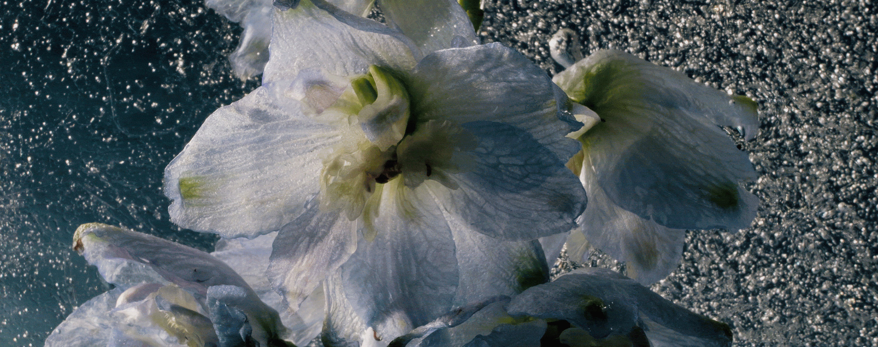 EXTRA 20% OFF SALE STYLES