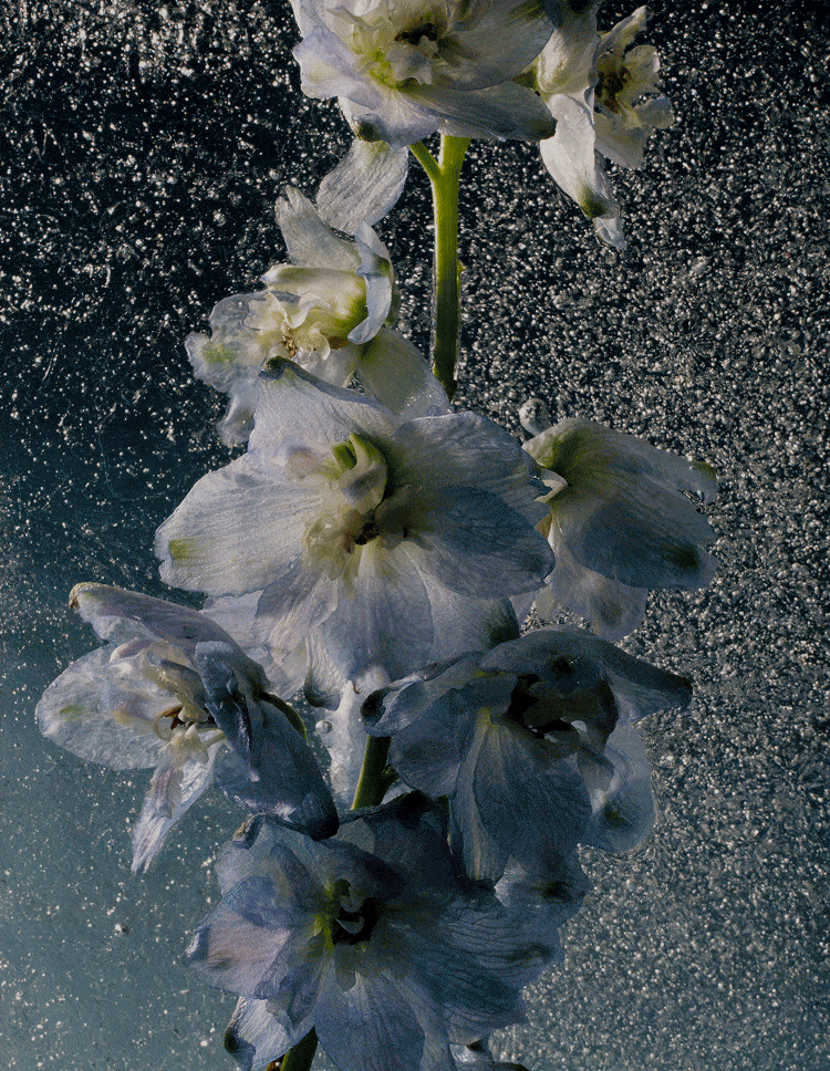 EXTRA 20% OFF SALE STYLES