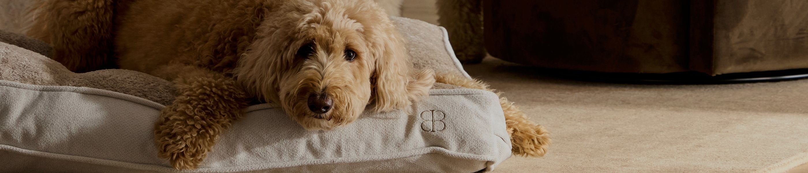 Bedding For Pet Lovers