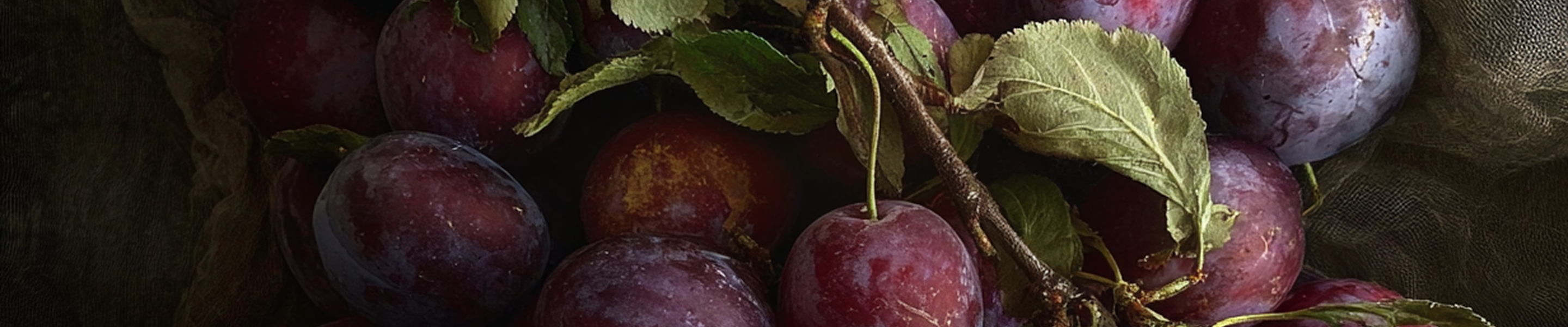 PLUM