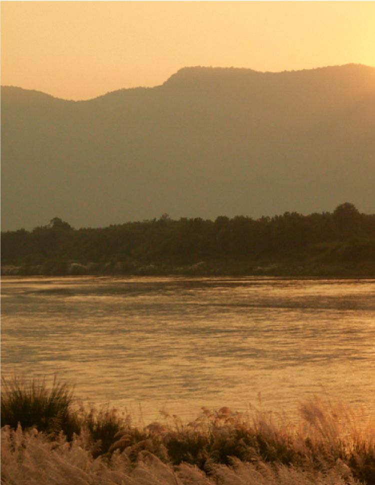 See Our Impact Report
