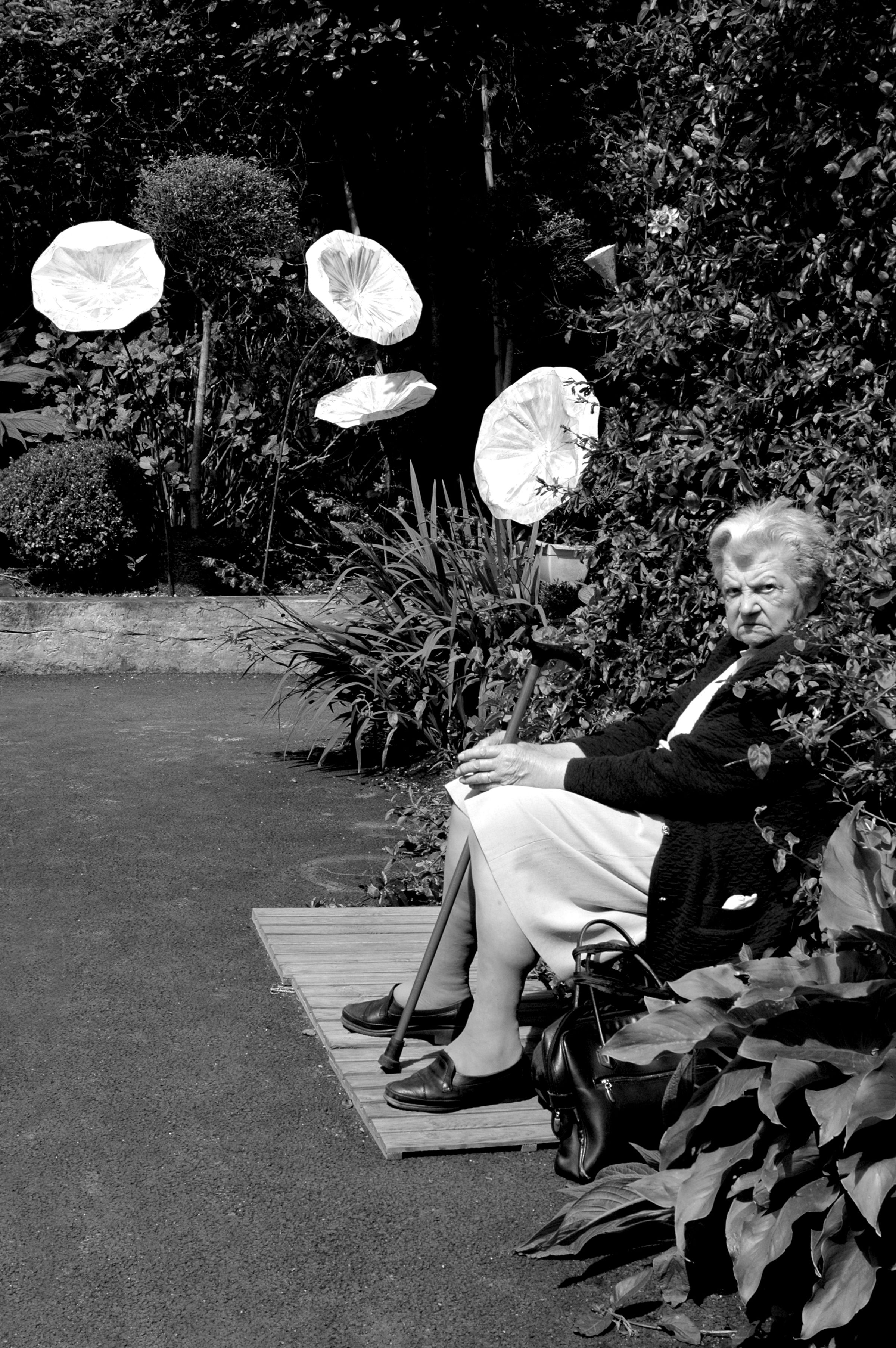 la dame et les fleur