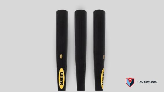 Best Wood Baseball Bats: Reviewing Top Picks (2026 Edit)