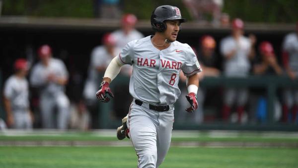 Business & Marketing Schools with Baseball Programs (DI, II, & III)