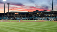 Best Mid Major D1 Baseball Schools Conferences