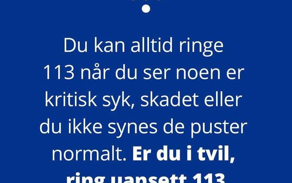 113.no