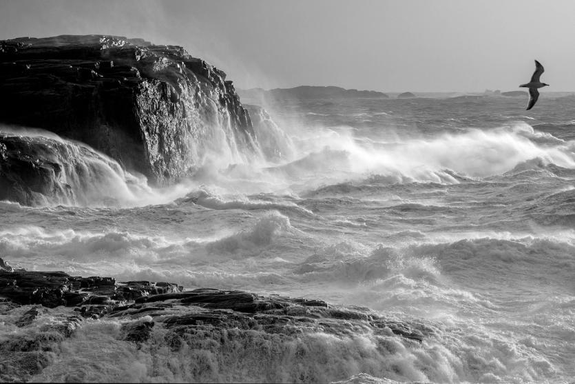 Waves crash onto rocks