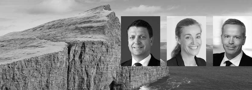 Members of the board pictured against a dramatic coastline